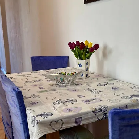 Maricic Apartment